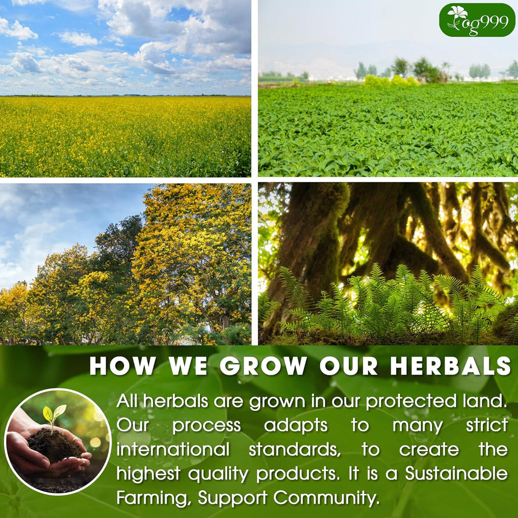 TOG999 60 Tea Bags Relieves Constipation Natural Tea, Blend of Senna Leaves - Peppermint - Licorice - Fennel, 100% Natural Ingrendients, Hand-made Herbal Tea, No Sugar, No Caffeine, No Gluten, Vegan.