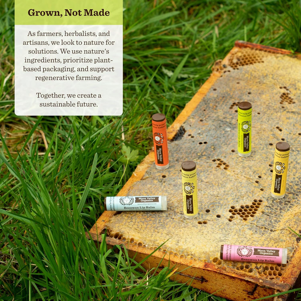 Moon Valley Organics Beeswax Lip Balm for Moisturizing Lips and Cuticles (TROPICAL COCONUT LIME, 4 Count (Pack of 1))