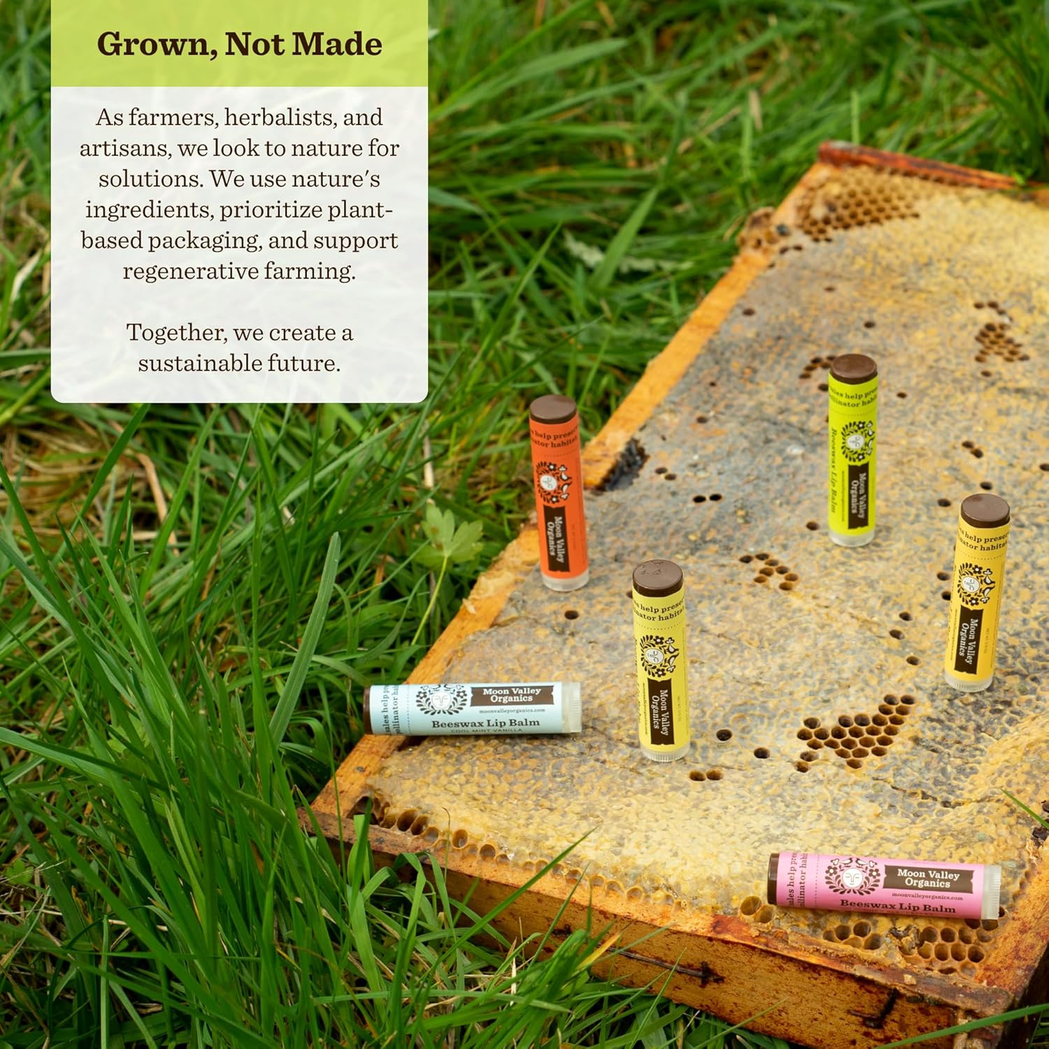 Moon Valley Organics Beeswax Lip Balm for Moisturizing Lips and Cuticles (TROPICAL COCONUT LIME, 4 Count (Pack of 1))