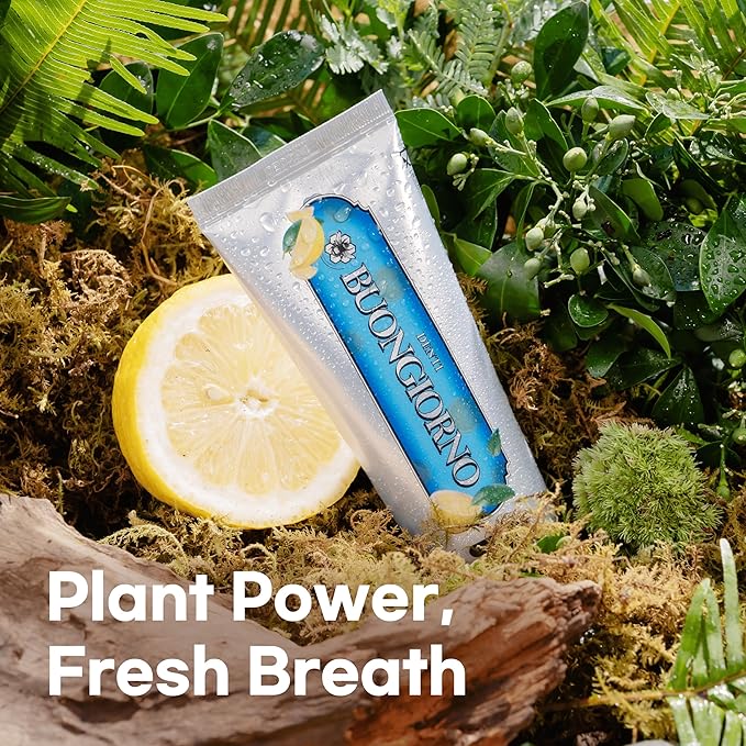 Plaque Care Toothpaste (Lemon Mint) – Natural Fluoride Korean Toothpaste for Plaque Removal, Tartar Control, Strengthens Enamel, Paraben & SLS Free (3.52fl oz / 100g)