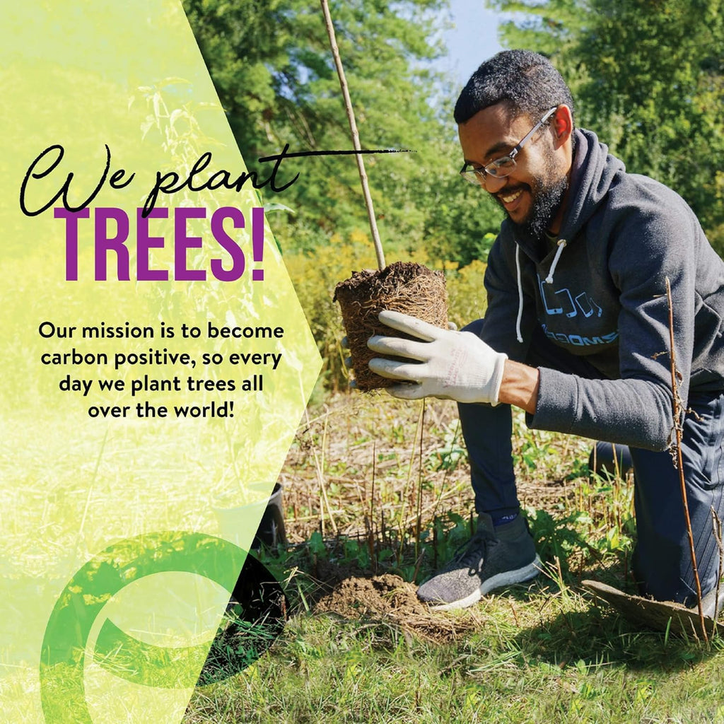 EcoSlurps Bamboo Toothbrushes (12 Adult Medium, Multi-Colored)