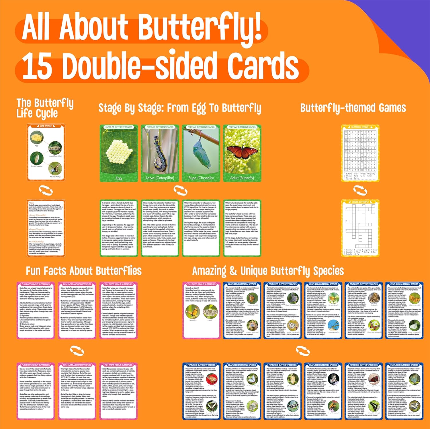 15 Butterfly Life Circle Flashcards with 4 Plastic Figurines, Butterflies Introduction Cards Plastic Insects Egg to Butterfly Kit Toy for Kids, Adults, Animal Lovers