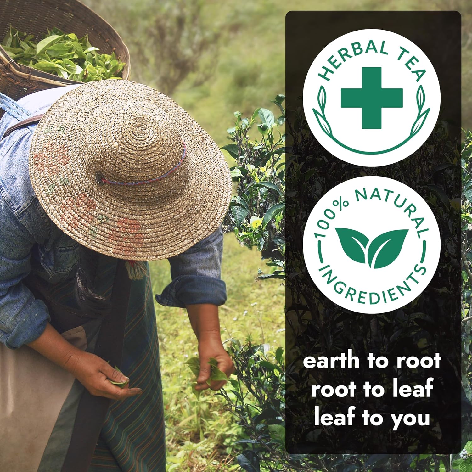 Vital Bloom Black Tea, 120 Count Tea Bags, Smooth, Flavourful, and Robust, Enjoy Hot or Cold Brew, Bleach Free Tea Bags, Non GMO (Free Bamboo Tongs Included)