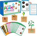 15 Plant Life Circle Flashcards with 4 Plastic Figurines-Seed to Plant, Plants Introduction Card Plants Growth Details for Nature Lovers & Adults, Montessori Toy for Kids