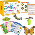 15 Butterfly Life Circle Flashcards with 4 Plastic Figurines, Butterflies Introduction Cards Plastic Insects Egg to Butterfly Kit Toy for Kids, Adults, Animal Lovers