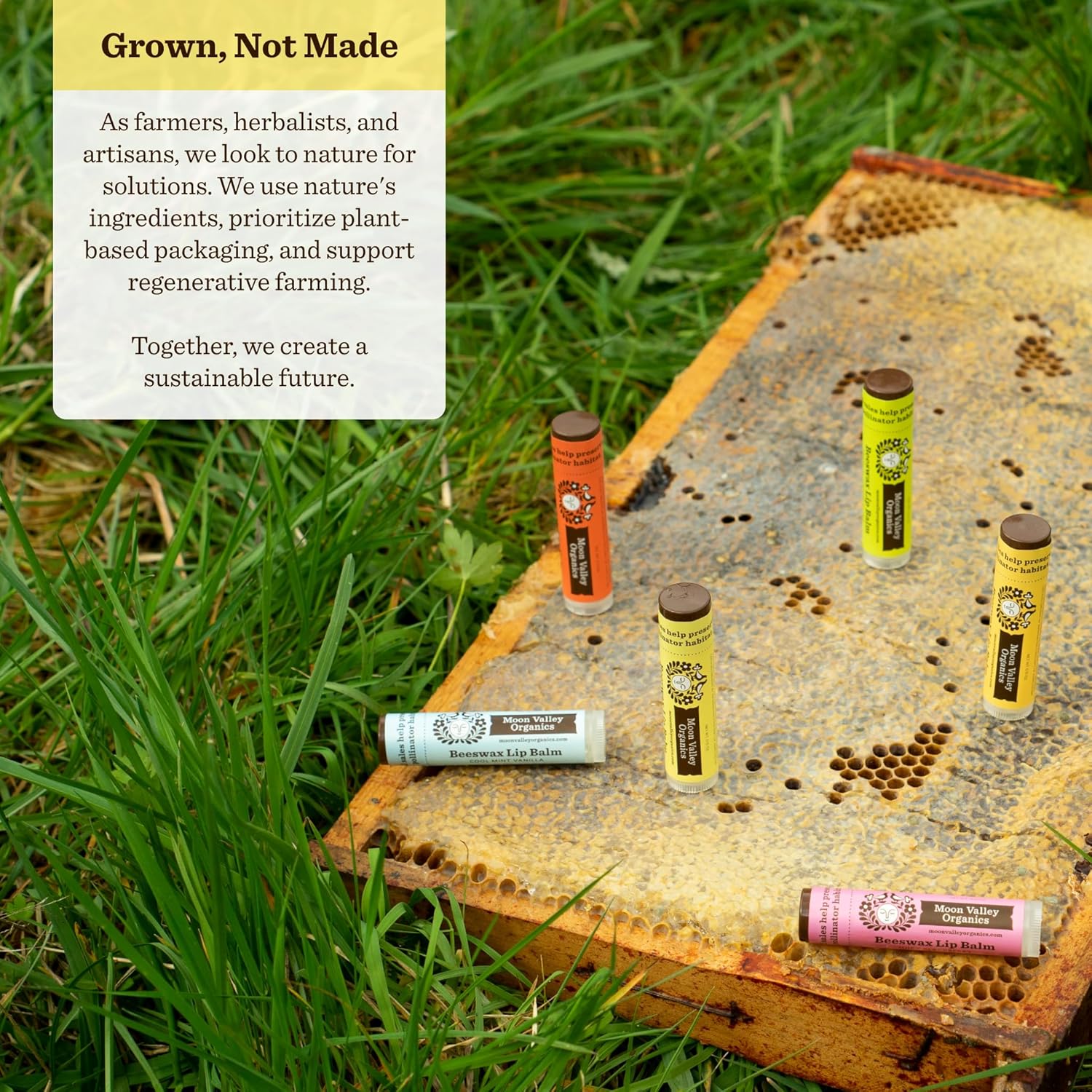 Moon Valley Organics Beeswax Lip Balm for Moisturizing Lips and Cuticles (Vanilla | Lime | Honey | Blackberry | Mint Vanilla, 5-Pack)