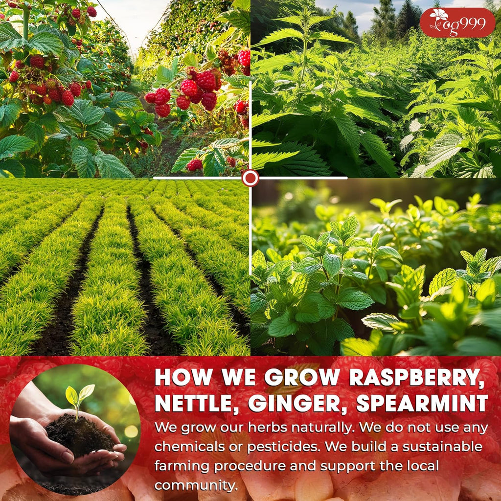 TOG999, 60 Tea Bags for Hormone Balance Menstrual Cycle Support, 100% Natural & Pure from Red Raspberry Leaves with Spearmint Flavor. Natural Material Tea Bags. No Sugar, No Caffeine, Vegan.