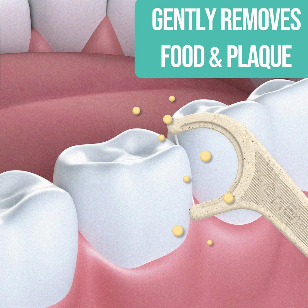 Dr. Emma Biodegradable Dental Floss Picks Single Line Floss Picks Biobased Material Tooth Flosser for Adults Teeth Cleaning Mint Flavor Toothpick Stick Soft On Gum & Teeth 240 Count