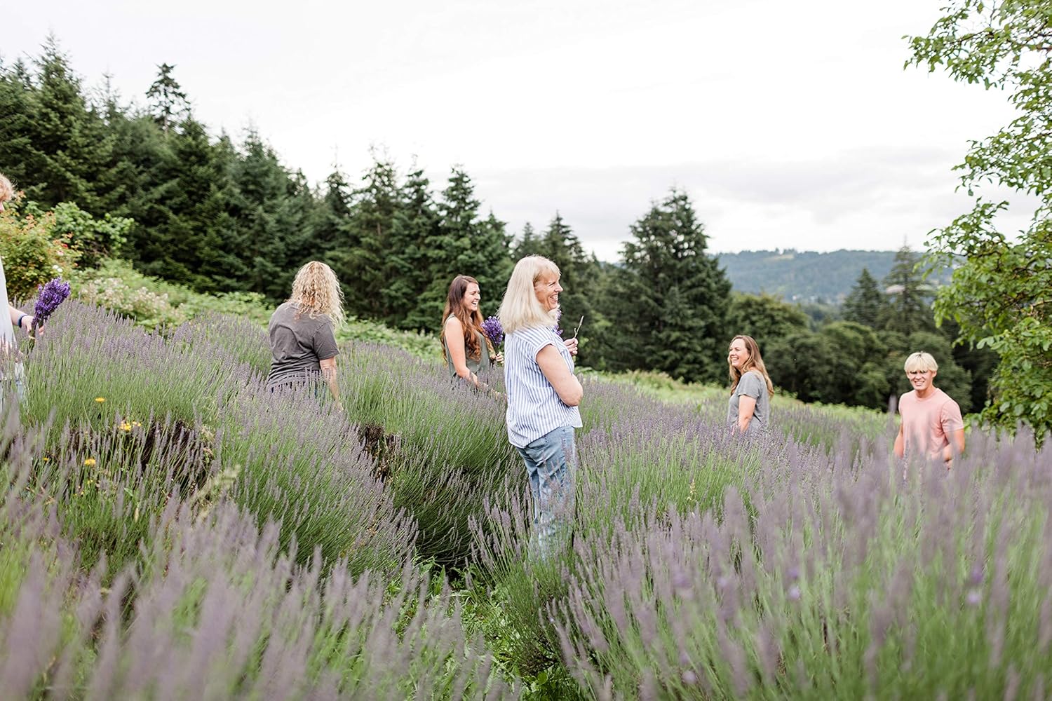 Victoria's Lavender Natural Body Products Gift Set - Handmade Soap, Lotion, Lip Balm, Body Candle Skin Care Sets & Kits, Made in the USA Lavender Bath Products for Women, Vanilla Lavender