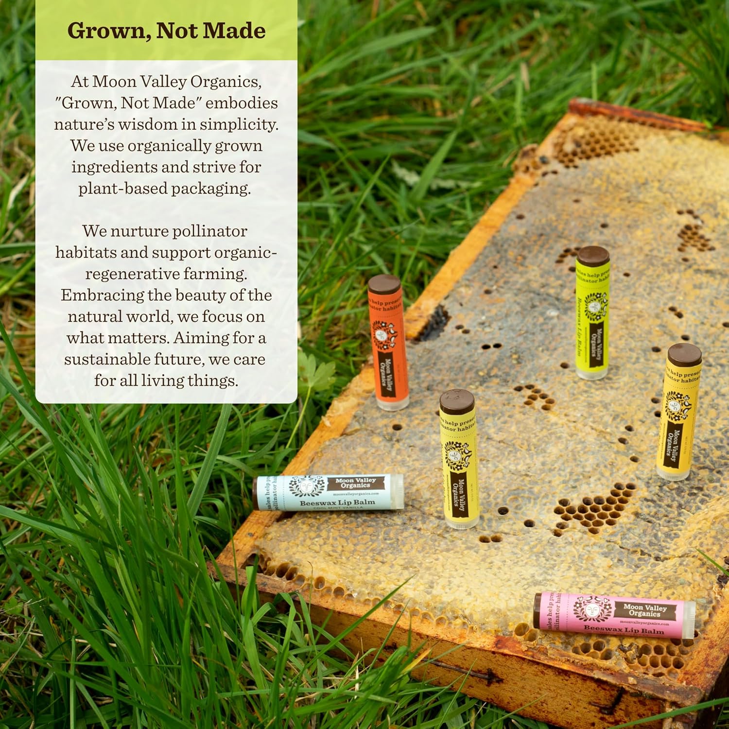 Moon Valley Organics Beeswax Lip Balm for Moisturizing Lips and Cuticles (TROPICAL COCONUT LIME, 1-Pack)