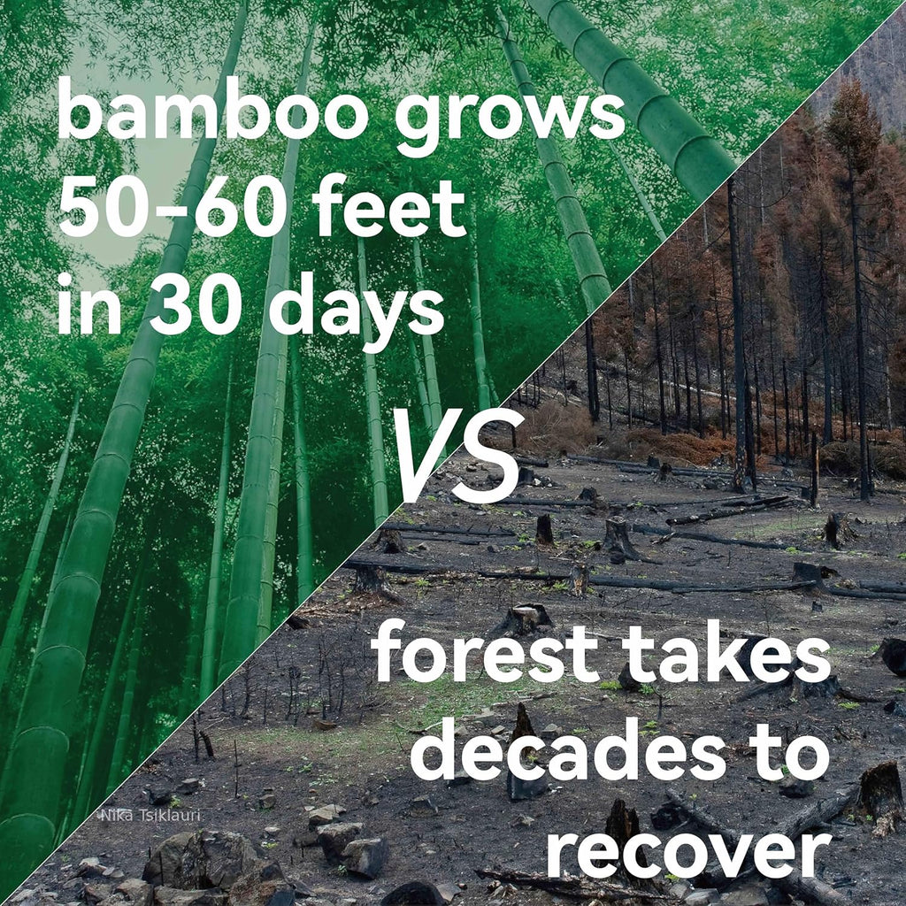 Bamboo Toothbrushes for Adults, BPA Free Bristles, Medium Soft, 5 PCS Bamboo Toothbrush for Dental Hygiene, Gum Care, Compostable, Eco Friendly, Compostable and Sustainable (Pink)